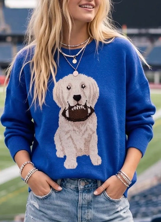 Game Day "Blue" Football Puppy Sweater